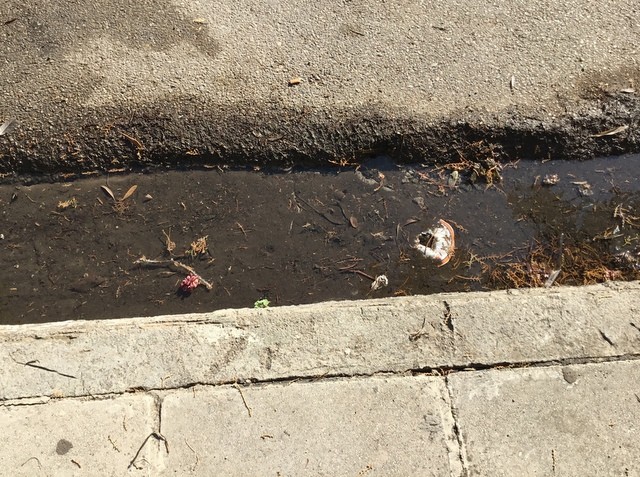 Συνεχιζόμενη διαρροή νερού στην οδό 25ης Μαρτίου στη Χαλκίδα