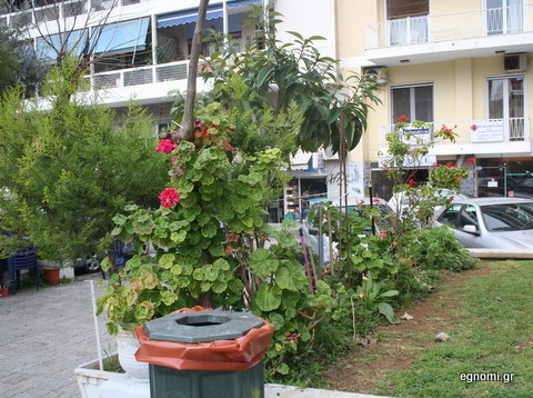 Μια μικρή όαση