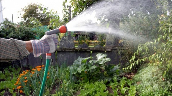 ΔΗΜΟΣ ΚΥΜΗΣ - ΑΛΙΒΕΡΙΟΥ: Έντονο πρόβλημα λειψυδρίας και λήψη αυστηρών μέτρων