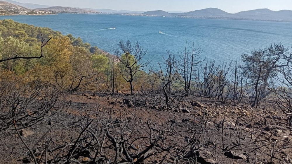 ΑΡΤΑΚΗ: Συνελήφθη ο άνθρωπος που προκάλεσε την φωτιά στην Ακτή Βολέρι