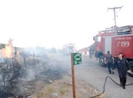 Φωτιά στην Αγία Ελεούσα Χαλκίδας