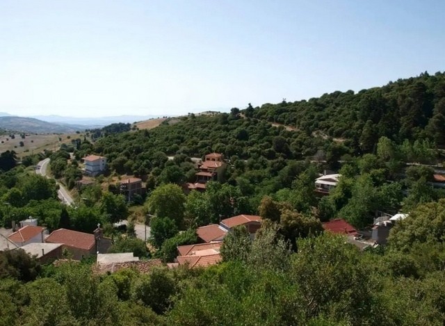 ΚΑΛΛΙΘΕΑ-ΓΥΜΝΟ-ΣΕΤΑ: Ονειρική απόδραση στη φύση του Δήμου Ερέτριας