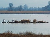 Να αξιοποιηθούν τα Λιβάρια στην Ιστιαία