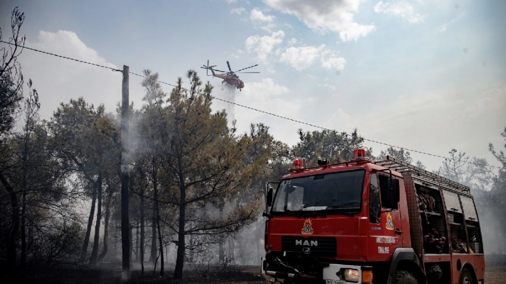 ΕΥΒΟΙΑ: Άρπαξε φωτιά σε δασική έκταση στην παραλία Ζαράκων το απόγευμα του Σαββάτου