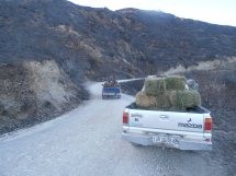 Εργασίες στις πυρόπληκτες περιοχές Αυλωναρίου και Δύστου