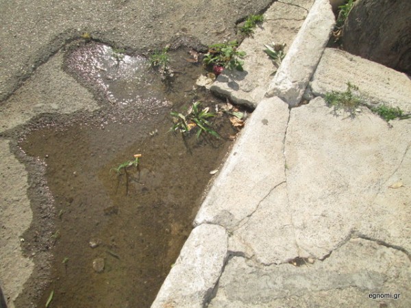 ΧΑΛΚΙΔΑ: Μισή δουλειά σε πολύπαθη γειτονιά της πόλης