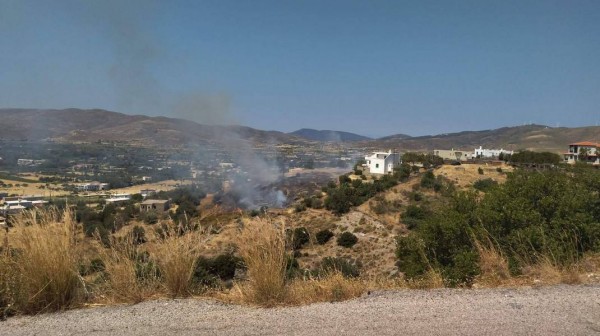 ΚΑΡΥΣΤΟΣ: Σύλληψη και τσουχτερό πρόστιμο σε γυναίκα την Κυριακή