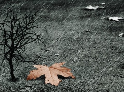 Πτώση θερμοκρασίας και τοπικές βροχές