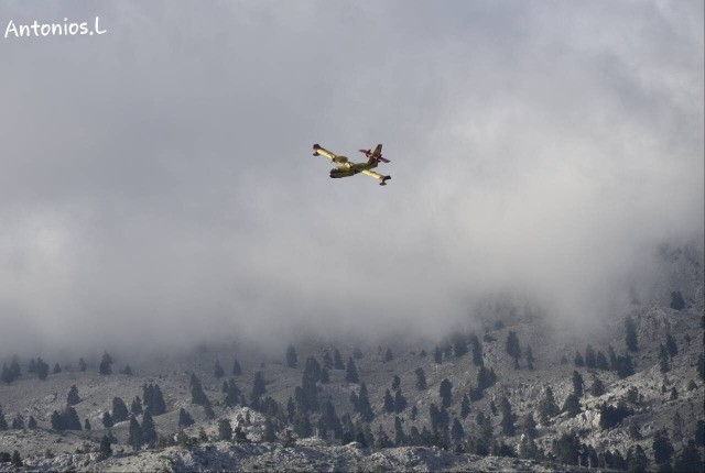 ΣΕΤΑ ΕΥΒΟΙΑΣ: Μεγάλη φωτιά καίει το ελατοδάσος στην περιοχή της  Αμπουδιώτισσας