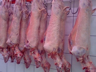 Τετραμελής συμμορία έκλεβε και έσφαζε αρνιά και κατσίκια