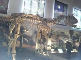 Εκδρομή στους δεινόσαυρους