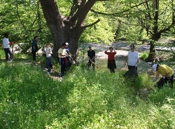 Μάζεψαν 1000 σακούλες σκουπίδια!