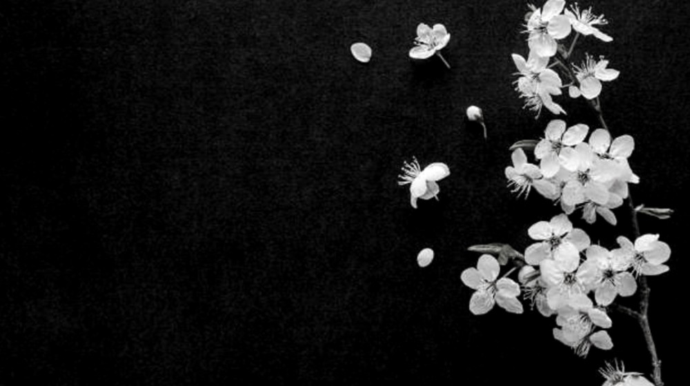 ΝΕΟΧΩΡΙ ΑΥΛΩΝΟΣ: Θλίψη για το θάνατο του Δημήτρη Γκούμα