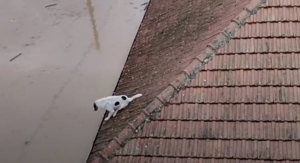 Βιβλική καταστροφή στην Καρδίτσα - Ρίχτηκαν στη μάχη ένοπλες δυνάμεις, ΕΜΑΚ και ελικόπτερα!