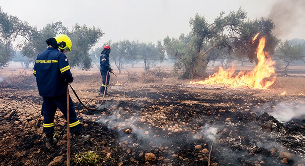 ΕΥΒΟΙΑ: Αυτή είναι η διαδικασία υποβολής αιτήσεων αποζημίωσης από τις επιχειρήσεις που επλήγησαν από την φωτιά της 21ης Αυγούστου