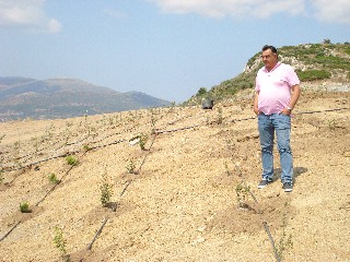 Η παλιά χωματερή γίνεται αλσύλλιο