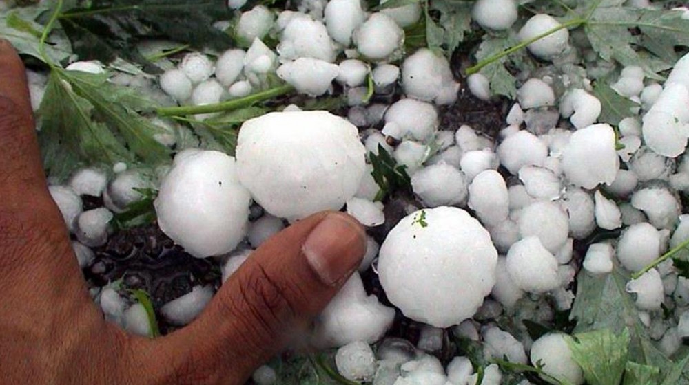 ΜΕΤΟΧΙ ΔΙΡΦΥΩΝ: Καταστράφηκε η παραγωγή κερασιών λόγω χαλαζόπτωσης