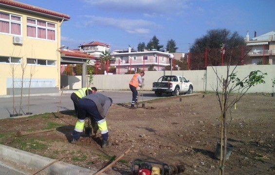 Το έριξε στο φύτεμα ο Δήμος Χαλκιδέων