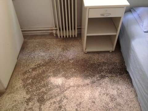 Στη μούχλα οι γιατροί του Νοσοκομείου Χαλκίδας!