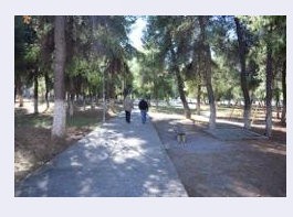 ΑΡΤΑΚΗ: Εντάχθηκε στο Πράσινο Ταμείο η ανάπλαση του Κυζικείου Άλσους