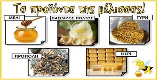 Ημερίδα για τα προϊόντα της μέλισσας