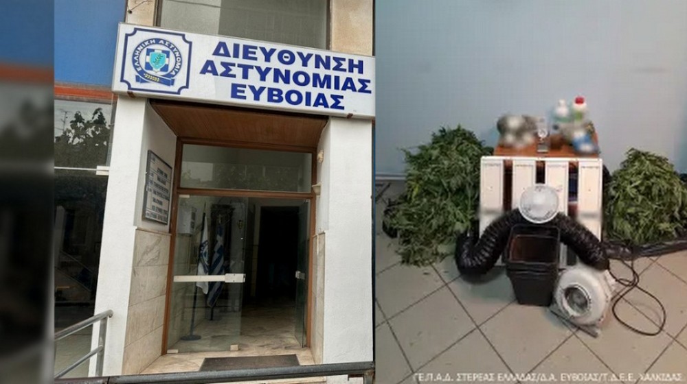ΧΑΛΚΙΔΑ: Συνελήφθη Έλληνας για καλλιέργεια και διακίνηση ναρκωτικών ουσιών