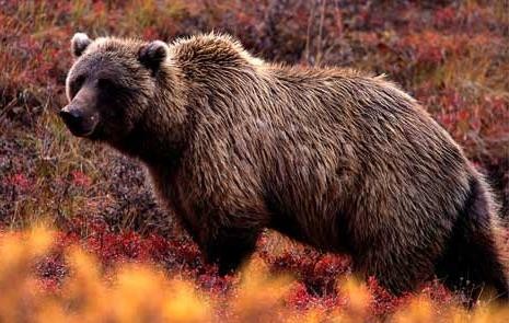 Παππούς 90 χρόνων άφησε έγκυο 25χρονη!