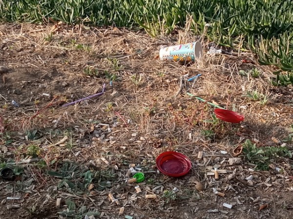 ΧΑΛΚΙΔΑ-ΚΑΝΑΠΙΤΣΑ: Πίνουν καφέδες και πετάνε τα ποτήρια και τα καπάκια στο έδαφος