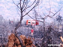 Εντυσαν στα πράσινα το Γυμνό