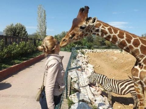Απαγορεύονται οι σχολικές εκδρομές σε ζωολογικούς κήπους