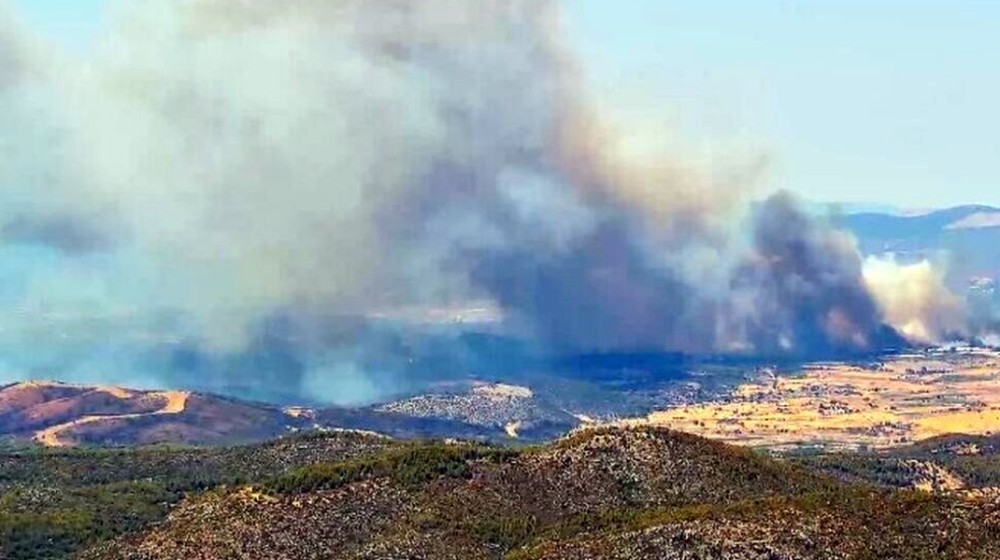 ΕΥΒΟΙΑ: Οργισμένη ανακοίνωση κατά της κυβέρνησης από τους ρετσινάδες για την φωτιά στον Πισσώνα
