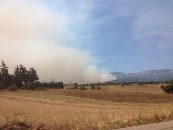 Έρχονται ενισχύσεις για την φωτιά στη Μακρυκάπα