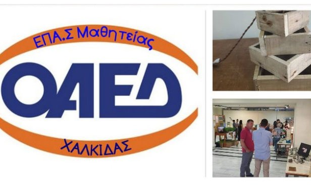 ΧΑΛΚΙΔΑ: Επίδειξη δεξιοτήτων από σπουδαστές της Σχολής Μαθητείας του ΟΑΕΔ