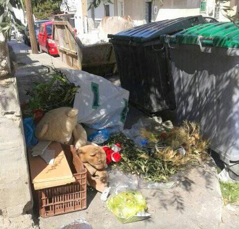 ΧΑΛΚΙΔΑ- ΚΑΤΑΓΓΕΛΙΑ: Γεμάτοι οι κάδοι σε μία γειτονιά της Χαλκίδας