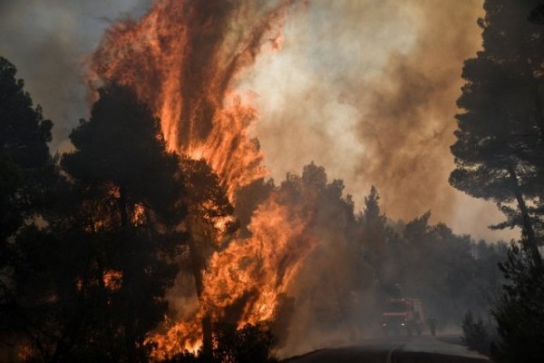 Υπό μερικό έλεγχο η φωτιά στα Γιάλτρα Αιδηψού