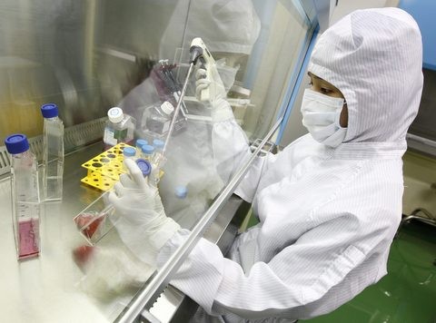 Εξελίξεις στις θεραπείες με βλαστοκύτταρα