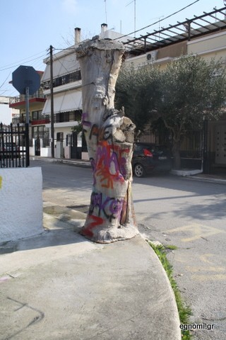 Τώρα βάφουν και τα δέντρα!