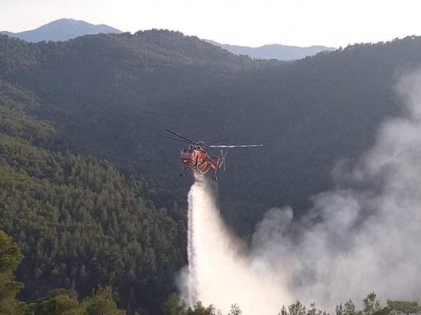 ΠΗΛΙ ΕΥΒΟΙΑ: Εσβησε η φωτιά στην Πυξαριά