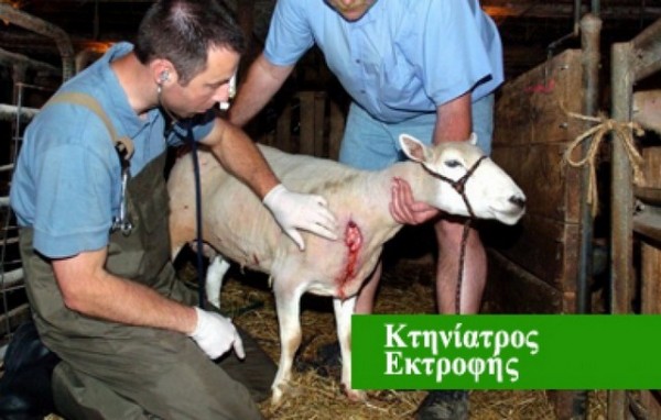 Υποχρεωτικός ο κτηνίατρος εκτροφής σε όλη την Στερεά Ελλάδα
