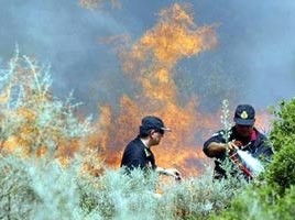 Ολέθριες συνέπειες