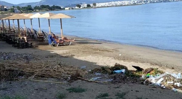 ΔΗΜΟΣ ΧΑΛΚΙΔΕΩΝ: Μην ακούτε το ΠΑΚΟΕ -Κατάλληλες όλες οι πλαζ για κολύμβηση