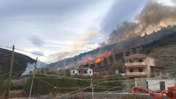 ΖΑΡΚΑ: Εκαψε 40 στρέμματα η πυρκαγιά