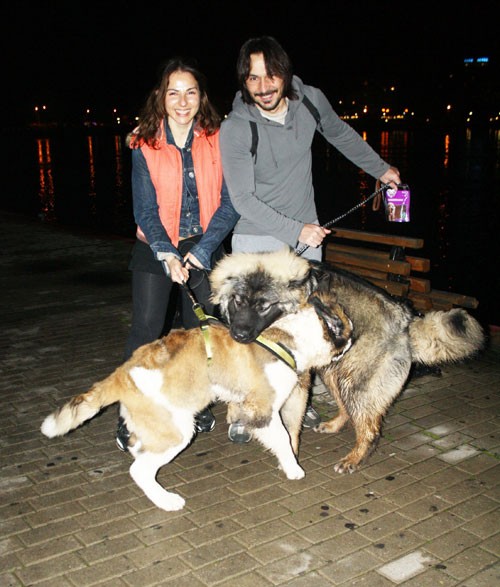 Βραδινά παιχνίδια