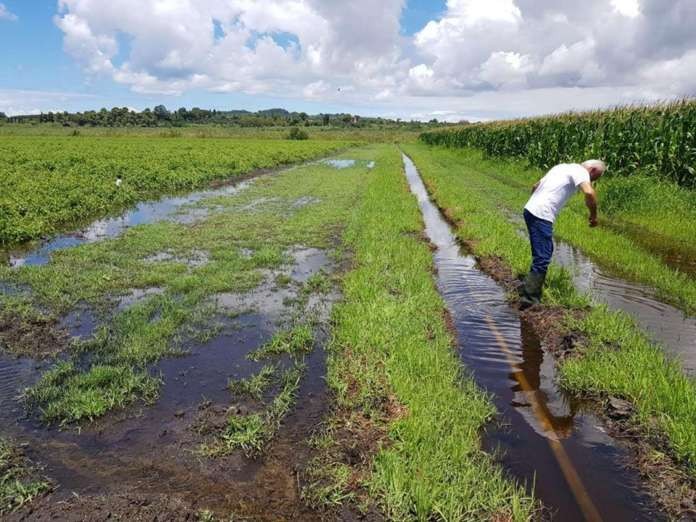 Αποζημίωση 700.000 ευρώ για τις καταστροφές στις αγροτικές καλλιέργειες στο Δήμο Ιστιαίας-Αιδηψού