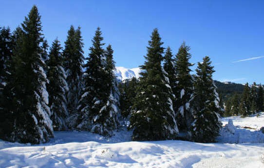 Σκηνικό από Χριστουγεννιάτικο παραμύθι