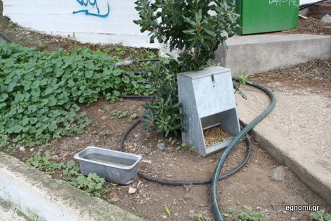 Κι όμως νοιάζονται για τα ζώα