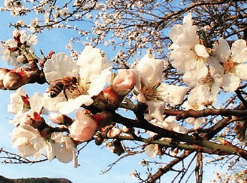 Τέλειος καιρός για Πρωτομαγιά!