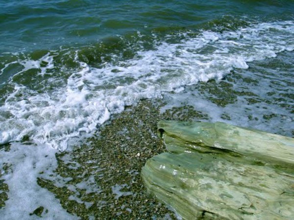 Ρομπότ ελέγχει αν είναι κατάλληλα τα νερά για κολύμβηση