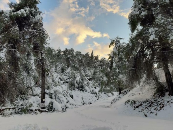 ΜΗΔΕΙΑ ΕΥΒΟΙΑ: Πολλά τα όμορφα κλικ με χιονισμένα τοπία