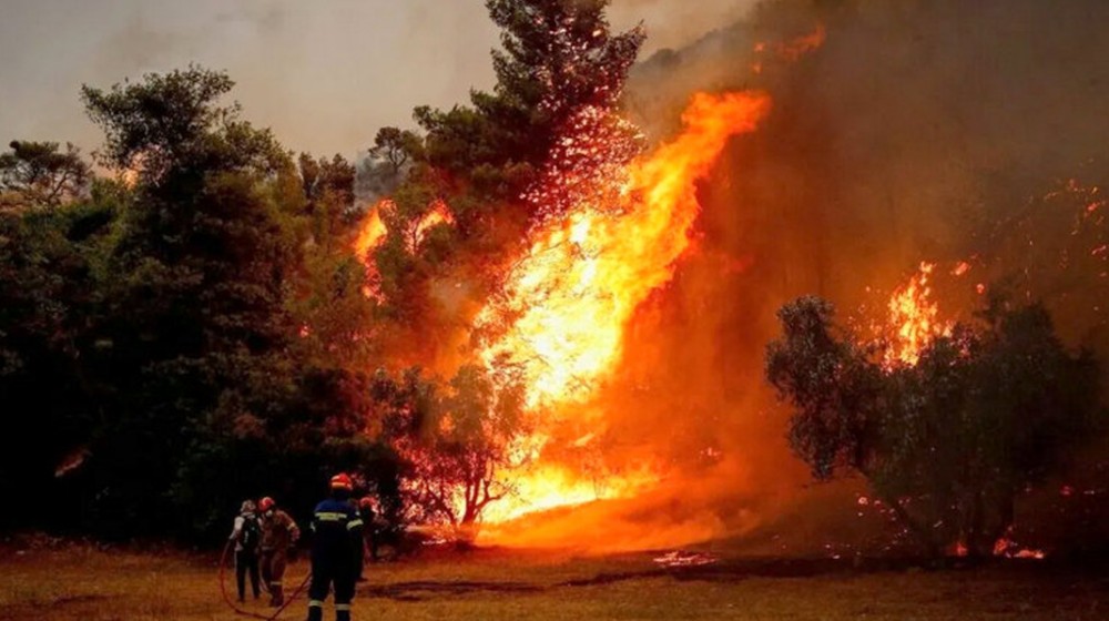 Φωτιά στο Κοντοδεσπότι Μεσσαπίων